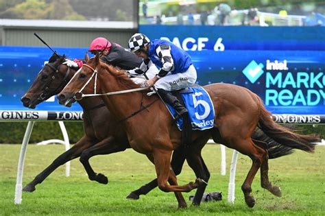 furious stakes|Furious Stakes .